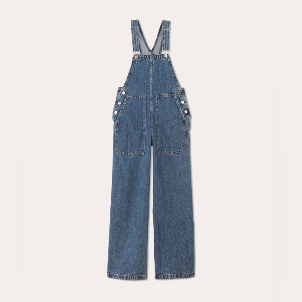 Everlane Women's Blue Denim Gardener Overalls